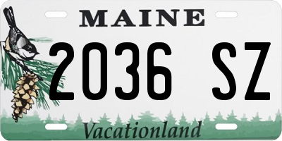 ME license plate 2036SZ