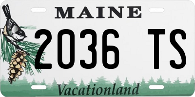 ME license plate 2036TS