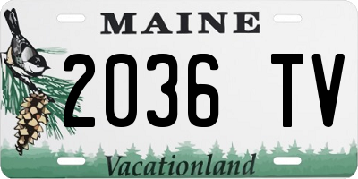 ME license plate 2036TV