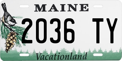 ME license plate 2036TY