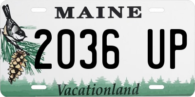 ME license plate 2036UP