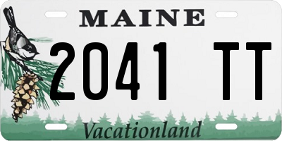 ME license plate 2041TT