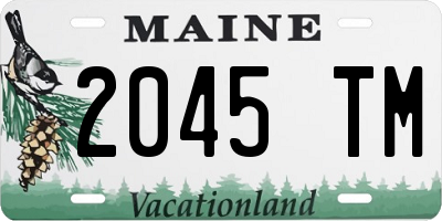 ME license plate 2045TM