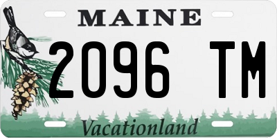 ME license plate 2096TM