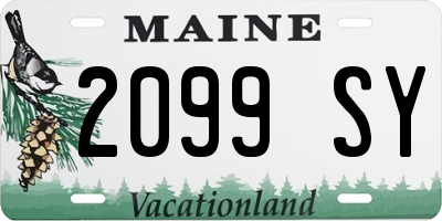 ME license plate 2099SY