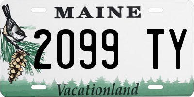 ME license plate 2099TY