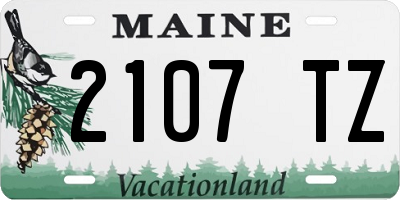 ME license plate 2107TZ