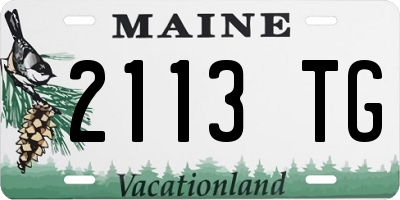 ME license plate 2113TG