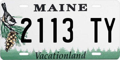 ME license plate 2113TY