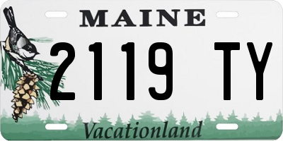 ME license plate 2119TY