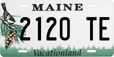 ME license plate 2120TE