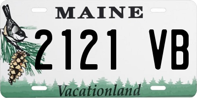 ME license plate 2121VB