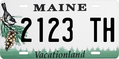 ME license plate 2123TH