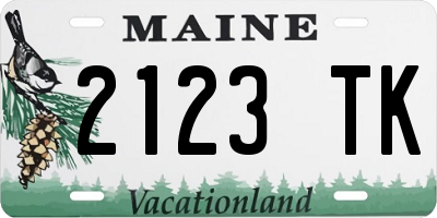 ME license plate 2123TK