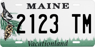 ME license plate 2123TM