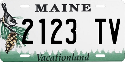 ME license plate 2123TV
