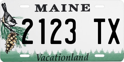 ME license plate 2123TX