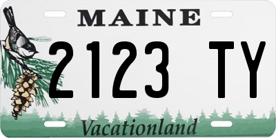 ME license plate 2123TY