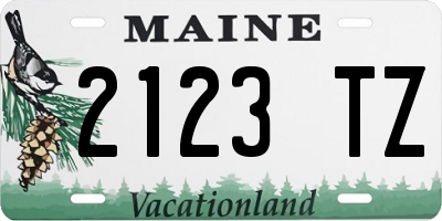 ME license plate 2123TZ