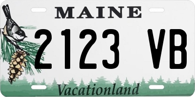 ME license plate 2123VB