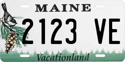 ME license plate 2123VE