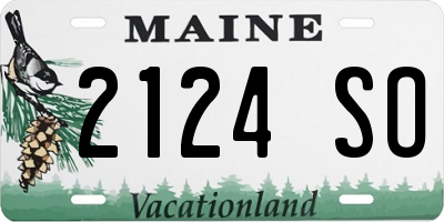 ME license plate 2124SO