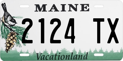ME license plate 2124TX