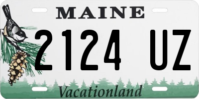 ME license plate 2124UZ