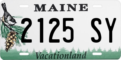 ME license plate 2125SY