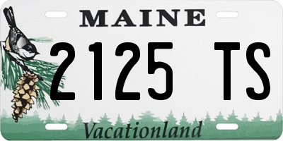 ME license plate 2125TS