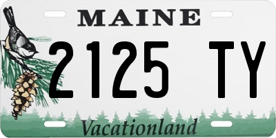 ME license plate 2125TY