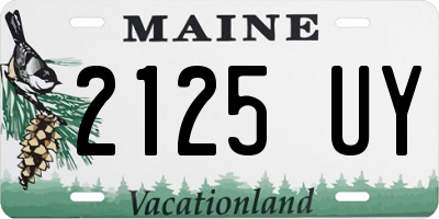 ME license plate 2125UY