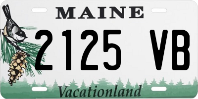 ME license plate 2125VB