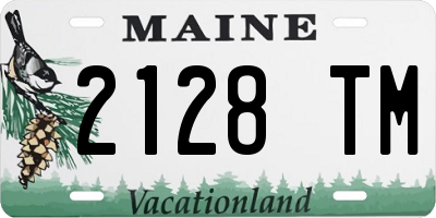 ME license plate 2128TM