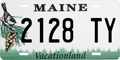 ME license plate 2128TY