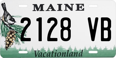 ME license plate 2128VB