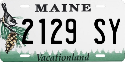 ME license plate 2129SY