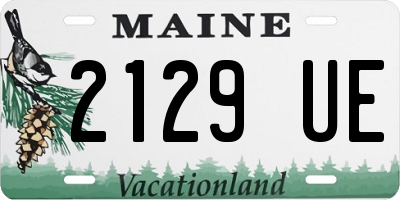 ME license plate 2129UE