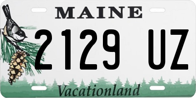 ME license plate 2129UZ