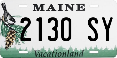 ME license plate 2130SY