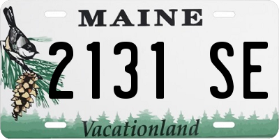ME license plate 2131SE