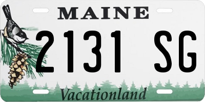 ME license plate 2131SG