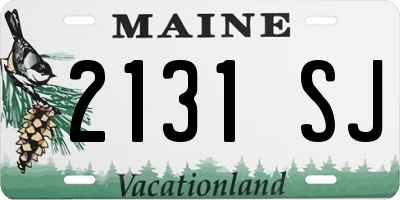 ME license plate 2131SJ