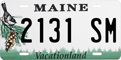 ME license plate 2131SM