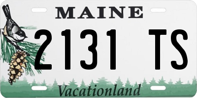 ME license plate 2131TS
