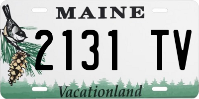 ME license plate 2131TV