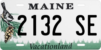 ME license plate 2132SE