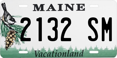 ME license plate 2132SM
