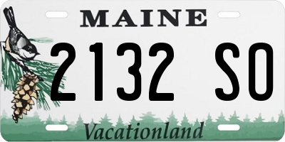 ME license plate 2132SO