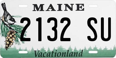 ME license plate 2132SU